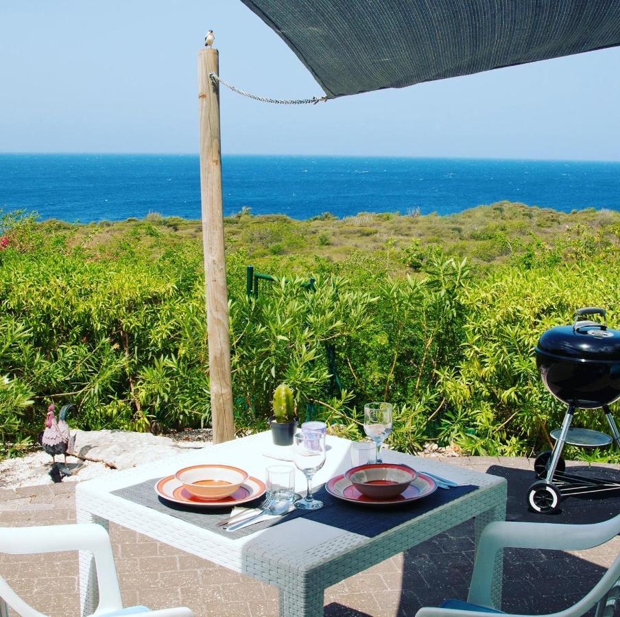 Vip Caribbean Views 300 Meters To The Coral Estate Beach Willibrordus Buitenkant foto